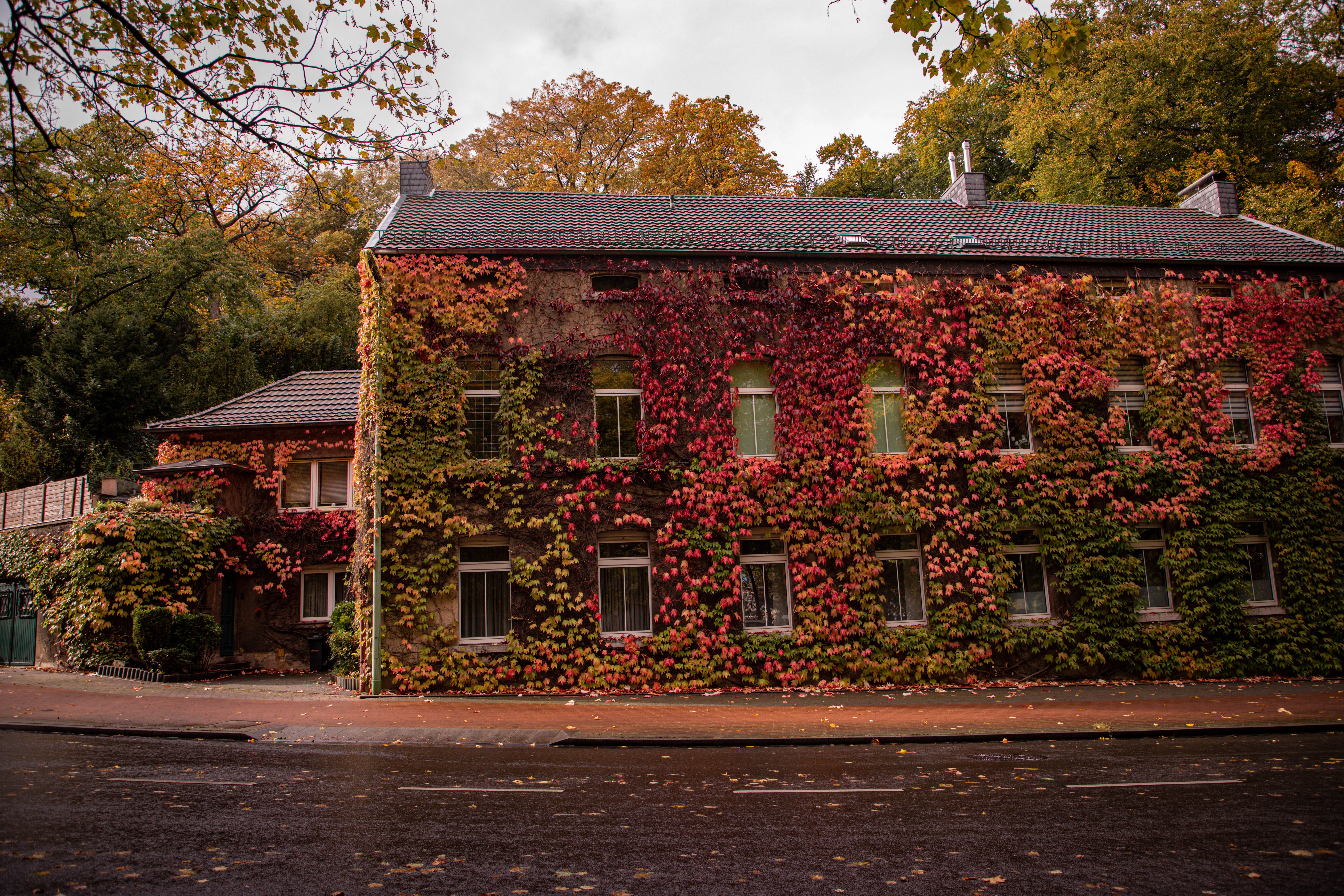 Autumn